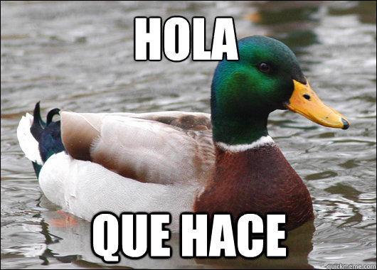 hola
 que hace  Actual Advice Mallard