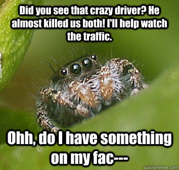 Did you see that crazy driver? He almost killed us both! I'll help watch the traffic. Ohh, do I have something on my fac---  Misunderstood Spider