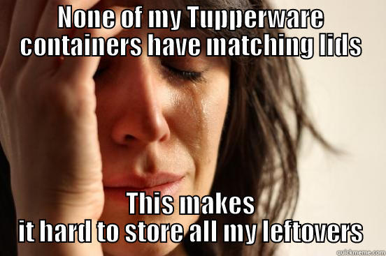 NONE OF MY TUPPERWARE CONTAINERS HAVE MATCHING LIDS THIS MAKES IT HARD TO STORE ALL MY LEFTOVERS First World Problems