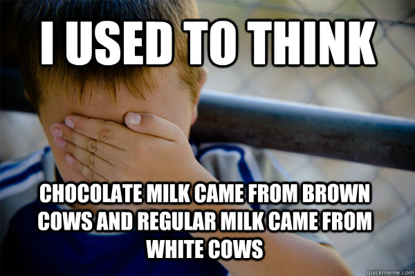 I used to think Chocolate milk came from brown cows and regular milk came from white cows - I used to think Chocolate milk came from brown cows and regular milk came from white cows  Confession kid