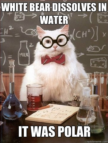 White bear dissolves in water It was polar  Chemistry Cat