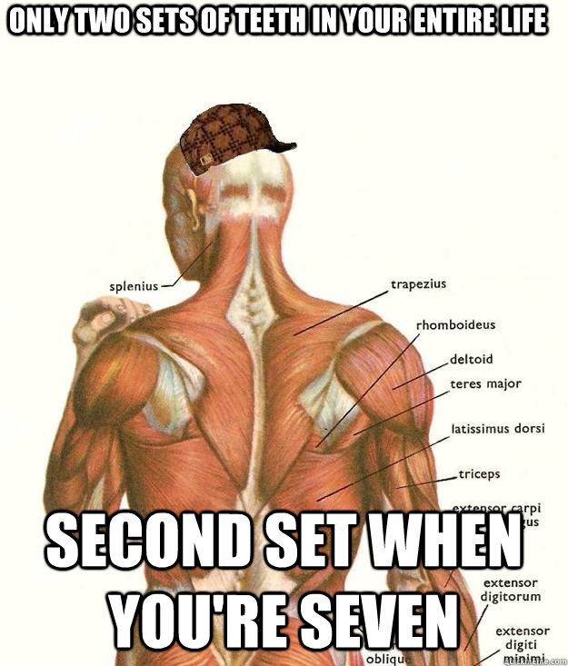 Only two sets of teeth in your entire life second set when you're seven - Only two sets of teeth in your entire life second set when you're seven  Scumbag body