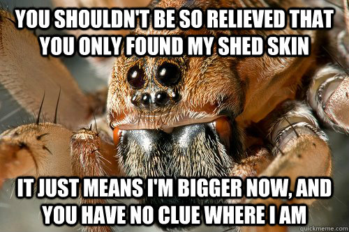 you shouldn't be so relieved that you only found my shed skin it just means i'm bigger now, and you have no clue where i am  creepy spider