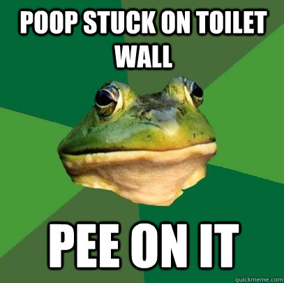 Poop stuck on toilet wall pee on it  Foul Bachelor Frog