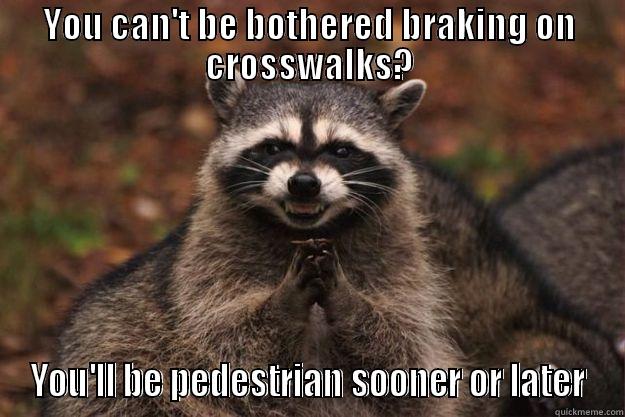 YOU CAN'T BE BOTHERED BRAKING ON CROSSWALKS? YOU'LL BE PEDESTRIAN SOONER OR LATER Evil Plotting Raccoon