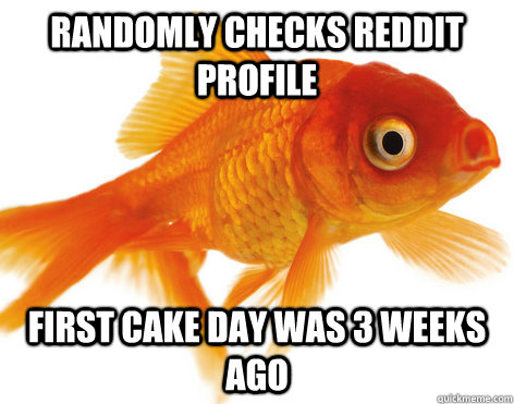 Randomly checks Reddit Profile First Cake Day was 3 weeks ago  Forgetful Fish