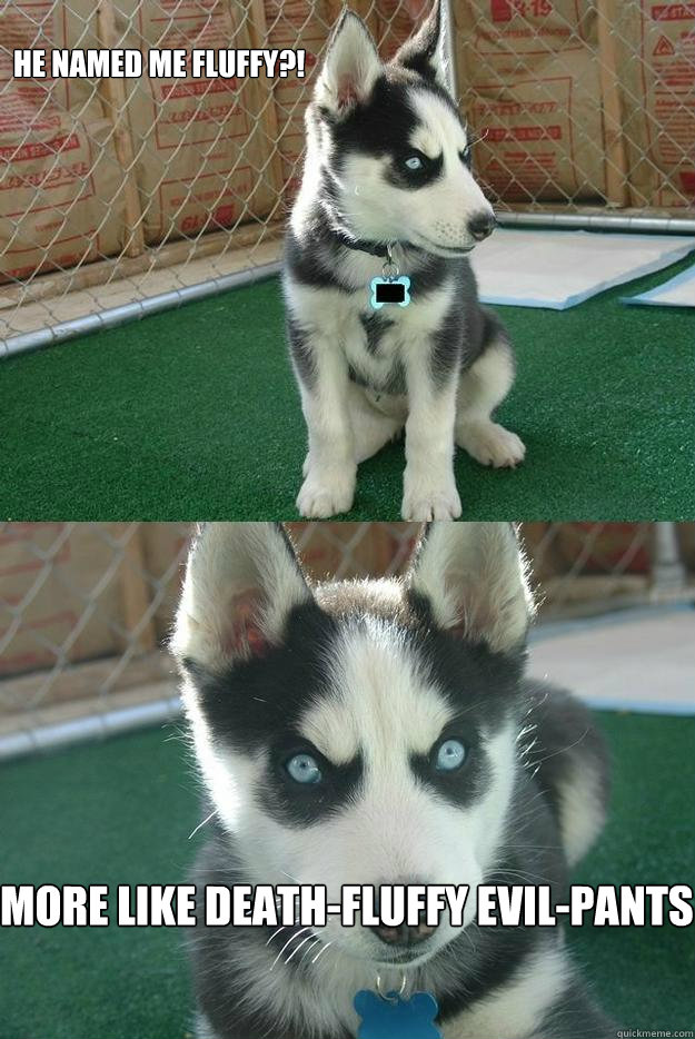 He named me FLUFFY?! More like Death-fluffy Evil-Pants  Insanity puppy