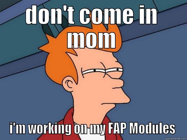 DON'T COME IN MOM I'M WORKING ON MY FAP MODULES Futurama Fry