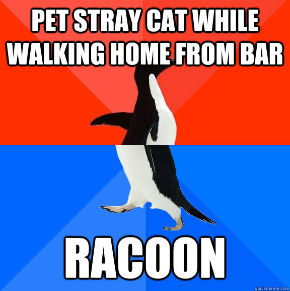 pet stray cat while walking home from bar racoon  Socially Awesome Awkward Penguin
