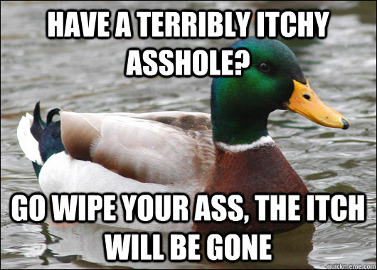 Have a terribly itchy asshole? Go wipe your ass, the itch will be gone  Actual Advice Mallard