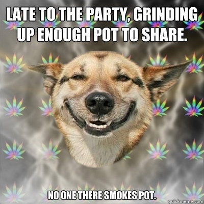 Late to the party, grinding up enough pot to share. No one there smokes pot.  Stoner Dog
