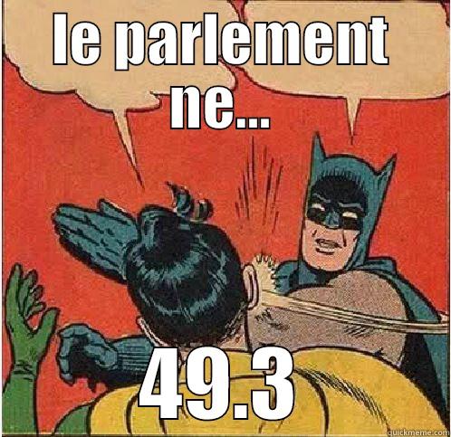 Loi travail - LE PARLEMENT NE... 49.3 Batman Slapping Robin