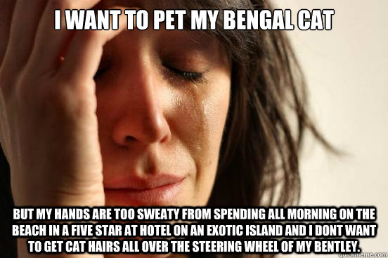 I want to pet my bengal cat but my hands are too sweaty from spending all morning on the beach in a five star at hotel on an exotic island and I dont want to get cat hairs all over the steering wheel of my Bentley.  First World Problems