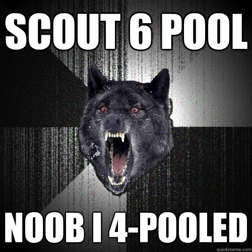 Scout 6 pool Noob I 4-pooled  Insanity Wolf