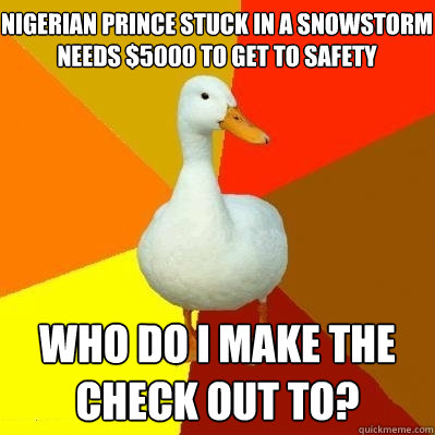 nigerian prince stuck in a snowstorm needs $5000 to get to safety who do i make the check out to?  Tech Impaired Duck
