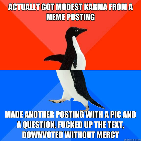 Actually got modest karma from a meme posting Made another posting with a pic and a question, fucked up the text, downvoted without mercy  Socially Awesome Awkward Penguin