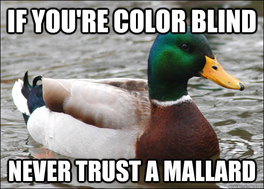 If you're color blind  never trust a mallard   Actual Advice Mallard