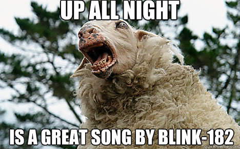 Up all night is a great song by blink-182  Meth Sheep