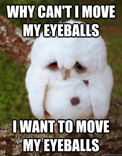 Why can't I move my eyeballs I want to move my eyeballs  Depressed Owl