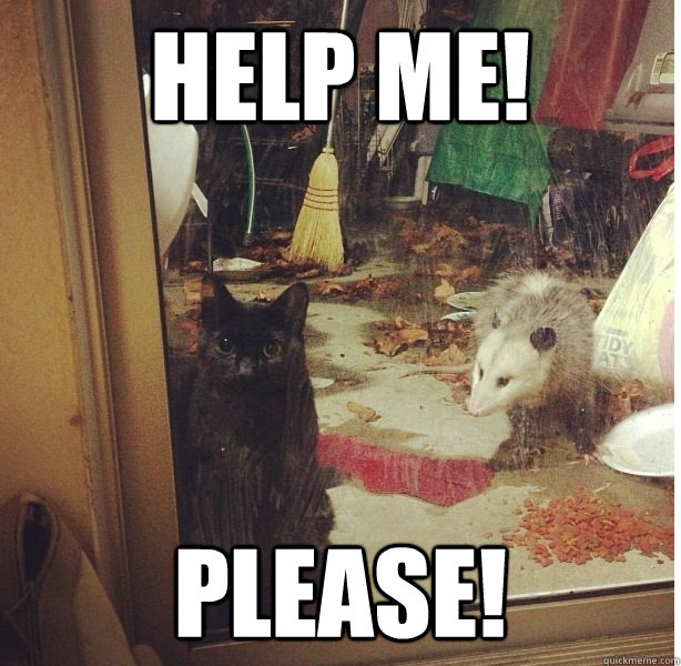 Help ME! PLEASE! - Help ME! PLEASE!  Misc