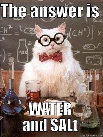THE ANSWER IS  WATER AND SALT Chemistry Cat