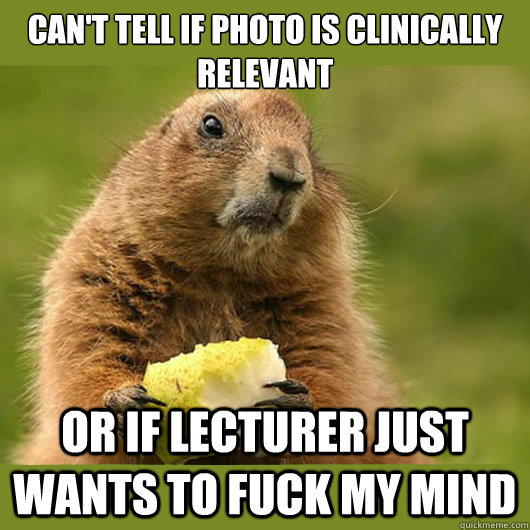 Can't tell if photo is clinically relevant Or if lecturer just wants to fuck my mind  