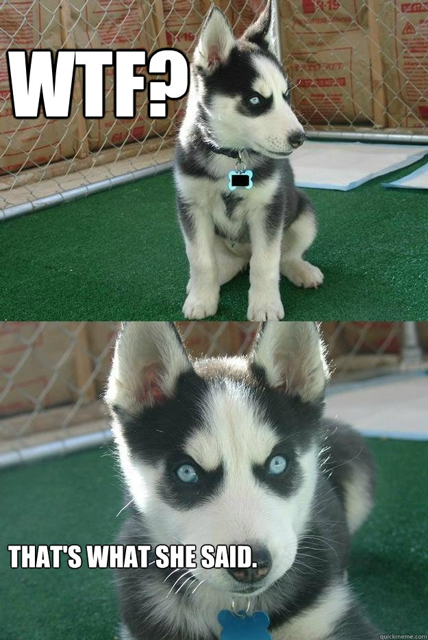 WTF? That's what she said.  Insanity puppy