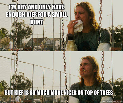 I'm dry and only have enough kief for a small joint but kief is so much more nicer on top of trees  First World Stoner Problems