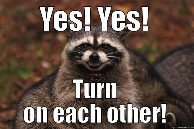 YES! YES! TURN ON EACH OTHER! Evil Plotting Raccoon