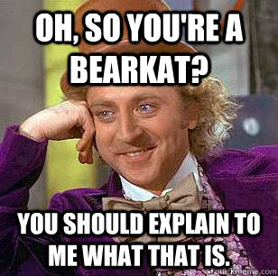 Oh, so you're a Bearkat? You should explain to me what that is.  Condescending Wonka