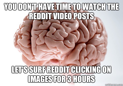 You don't have time to watch the reddit video posts Let's surf reddit clicking on images for 3 hours  Scumbag Brain
