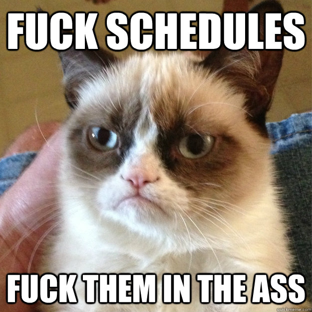 Fuck Schedules Fuck them in the ass - Fuck Schedules Fuck them in the ass  Misc