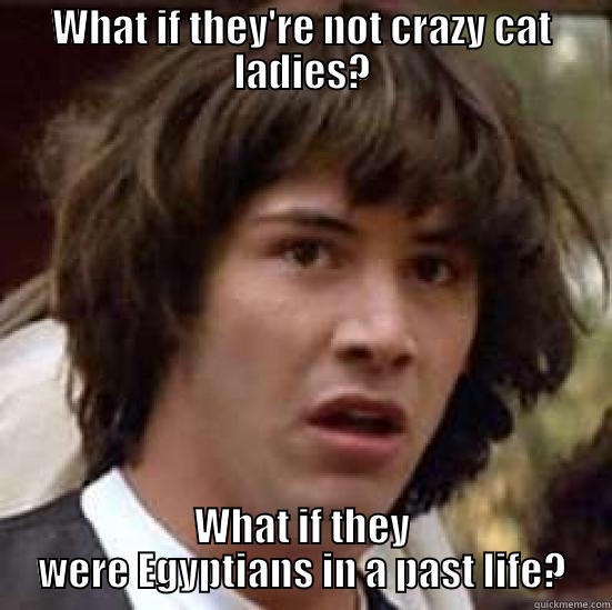 WHAT IF THEY'RE NOT CRAZY CAT LADIES? WHAT IF THEY WERE EGYPTIANS IN A PAST LIFE? conspiracy keanu