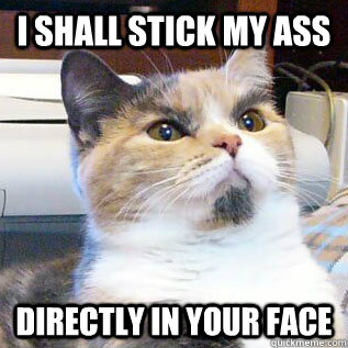 I SHALL STICK MY ASS DIRECTLY IN YOUR FACE - I SHALL STICK MY ASS DIRECTLY IN YOUR FACE  DICTATOR CAT