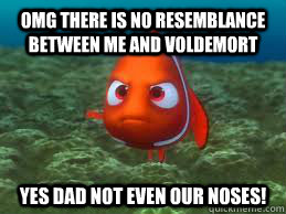 Omg there is no resemblance between me and Voldemort Yes Dad not even our noses!  Angry Nemo