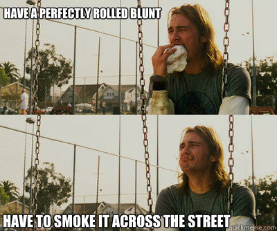 have a perfectly rolled blunt have to smoke it across the street  First World Stoner Problems