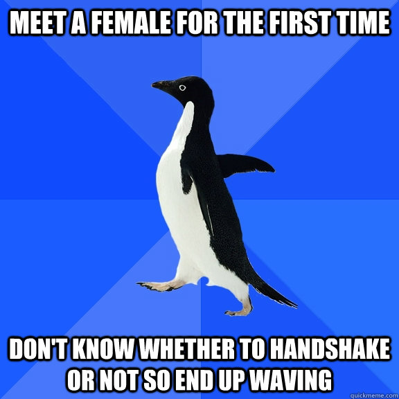 Meet a female for the first time Don't know whether to handshake or not so end up waving  Socially Awkward Penguin