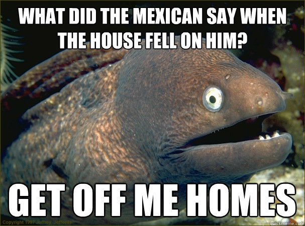 what did the mexican say when the house fell on him? get off me homes - what did the mexican say when the house fell on him? get off me homes  Bad Joke Eel