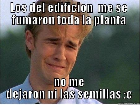 LOS DEL EDIFICION  ME SE FUMARON TODA LA PLANTA NO ME DEJARON NI LAS SEMILLAS :C 1990s Problems