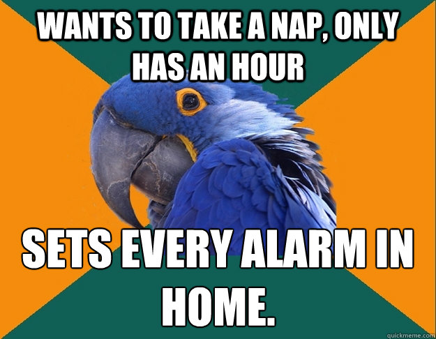 Wants to take a nap, only has an hour Sets every alarm in home.  Paranoid parrot flat tire