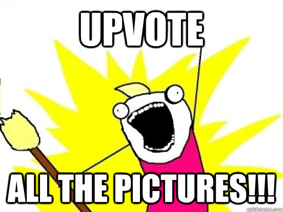 upvote ALL THE pictures!!!  