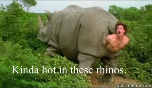 Kinda hot in these rhinos. - Kinda hot in these rhinos.  Ace Ventura Rhino