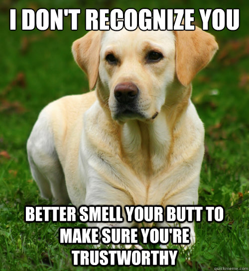 i don't recognize you better smell your butt to make sure you're trustworthy  Dog Logic