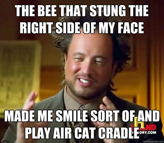 the bee that stung the right side of my face made me smile sort of and play air cat cradle  Ancient Aliens