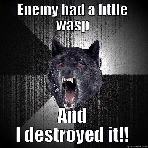ENEMY HAD A LITTLE WASP AND I DESTROYED IT!! Insanity Wolf