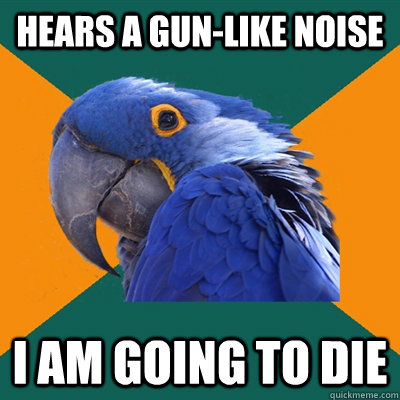 Hears a gun-like noise I am going to die  Paranoid Parrot