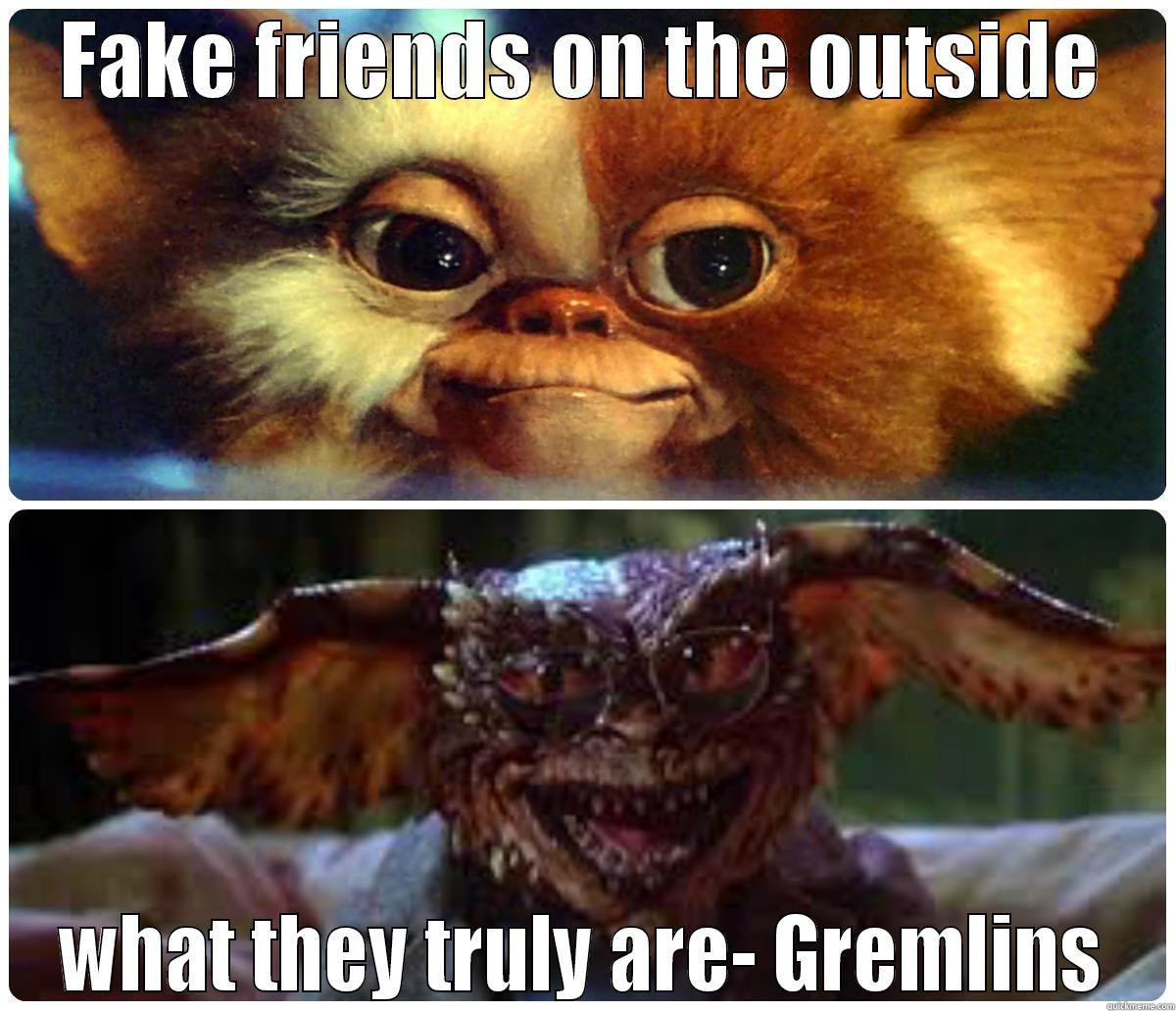 FAKE FRIENDS ON THE OUTSIDE WHAT THEY TRULY ARE- GREMLINS Misc