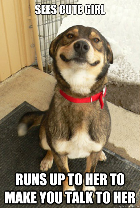 Sees cute girl runs up to her to make you talk to her  Good Guy Dog