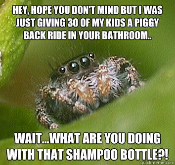 Hey, hope you don't mind but I was just giving 30 of my kids a piggy back ride in your bathroom.. wait...what are you doing with that shampoo bottle?!  Misunderstood Spider
