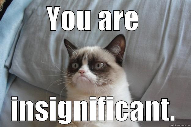 YOU ARE INSIGNIFICANT. Grumpy Cat